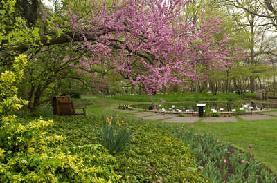 beal-garden